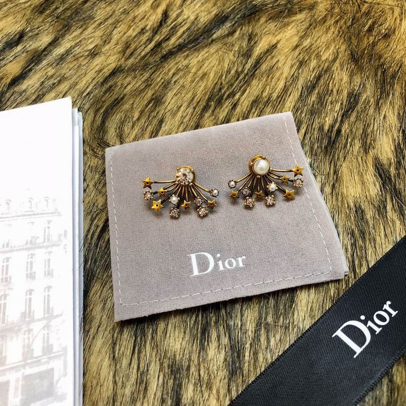 Dior Earring 03lyr143